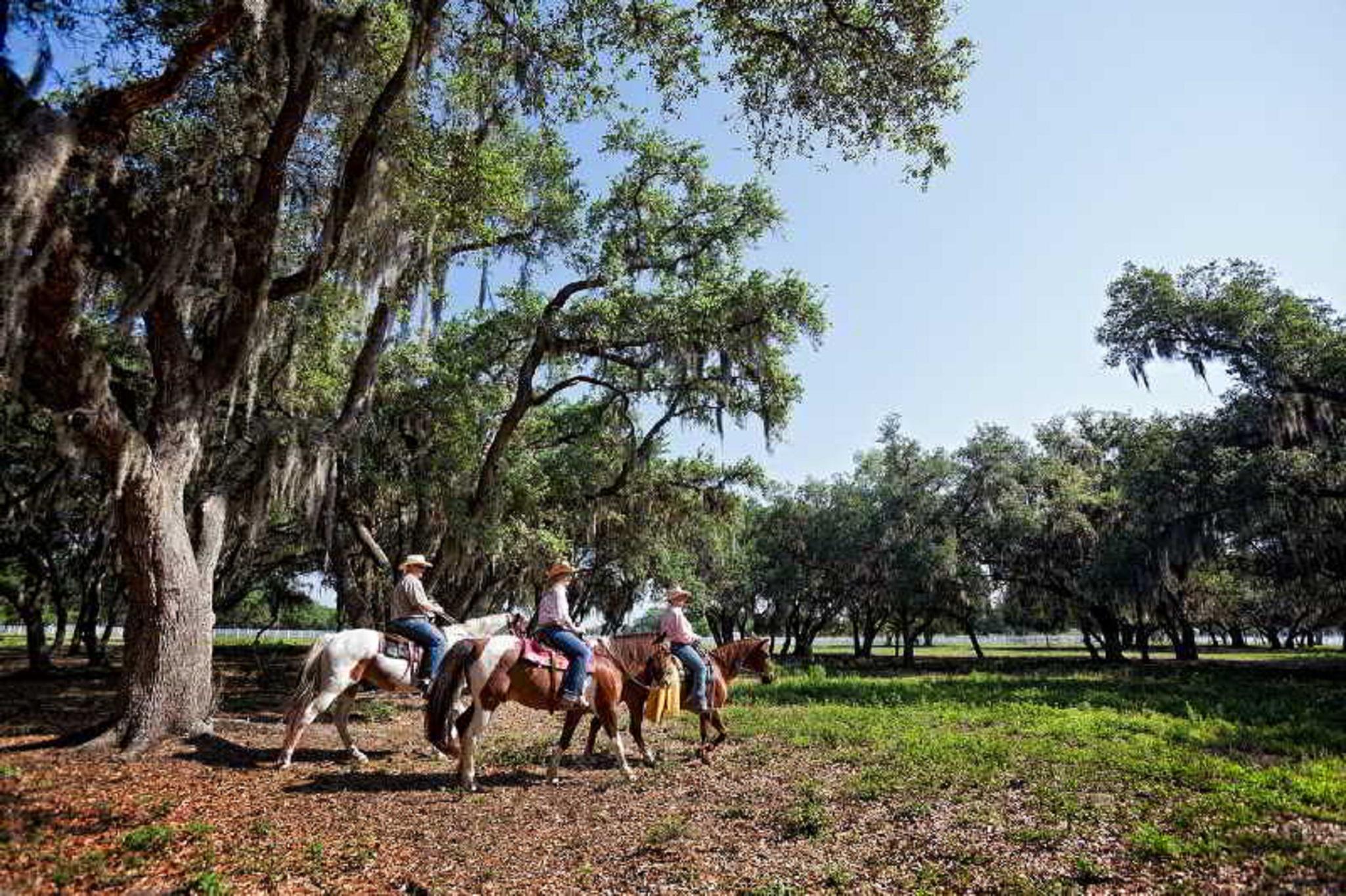 Westgate River Ranch Resort & Rodeo Exteriör bild