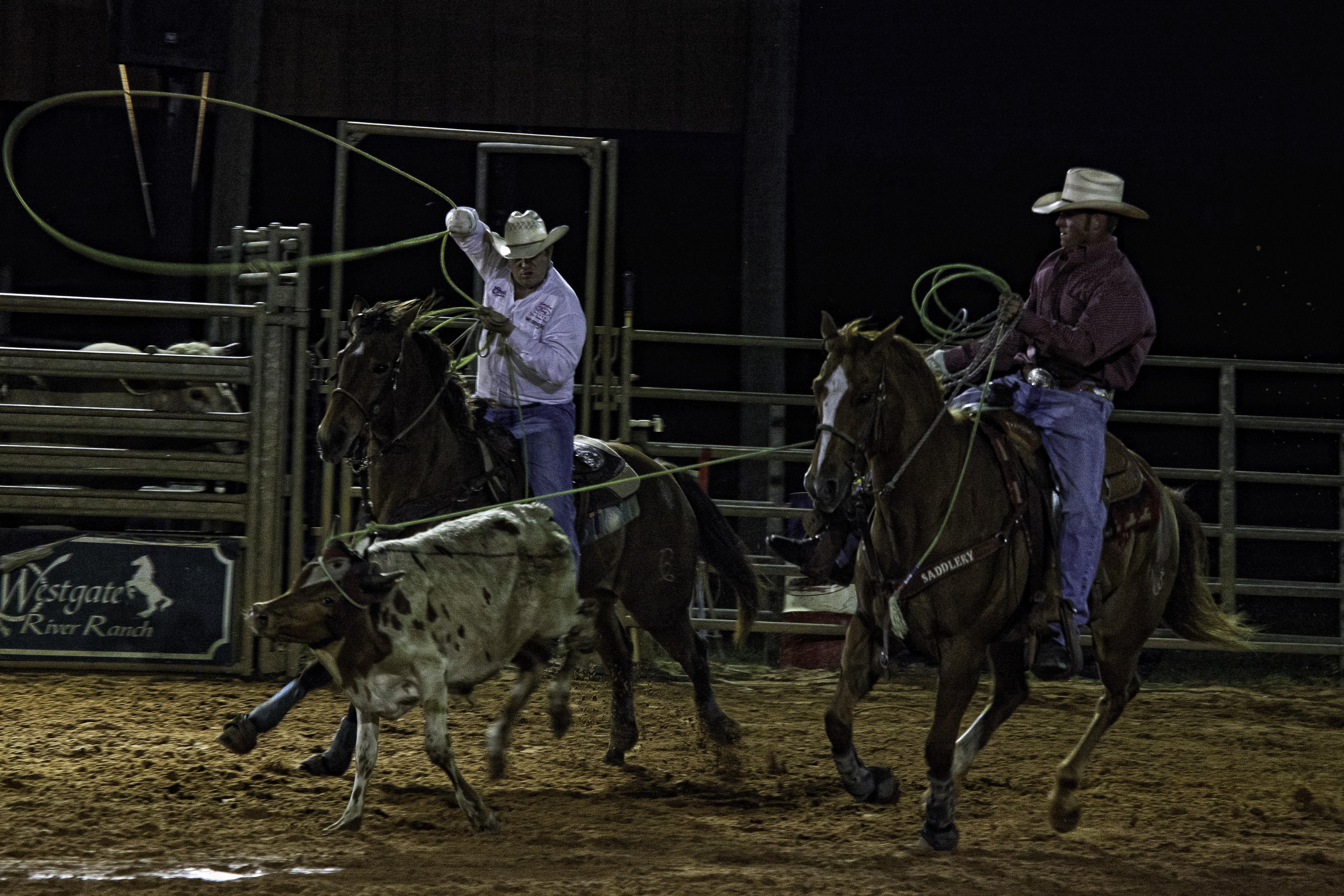 Westgate River Ranch Resort & Rodeo Exteriör bild