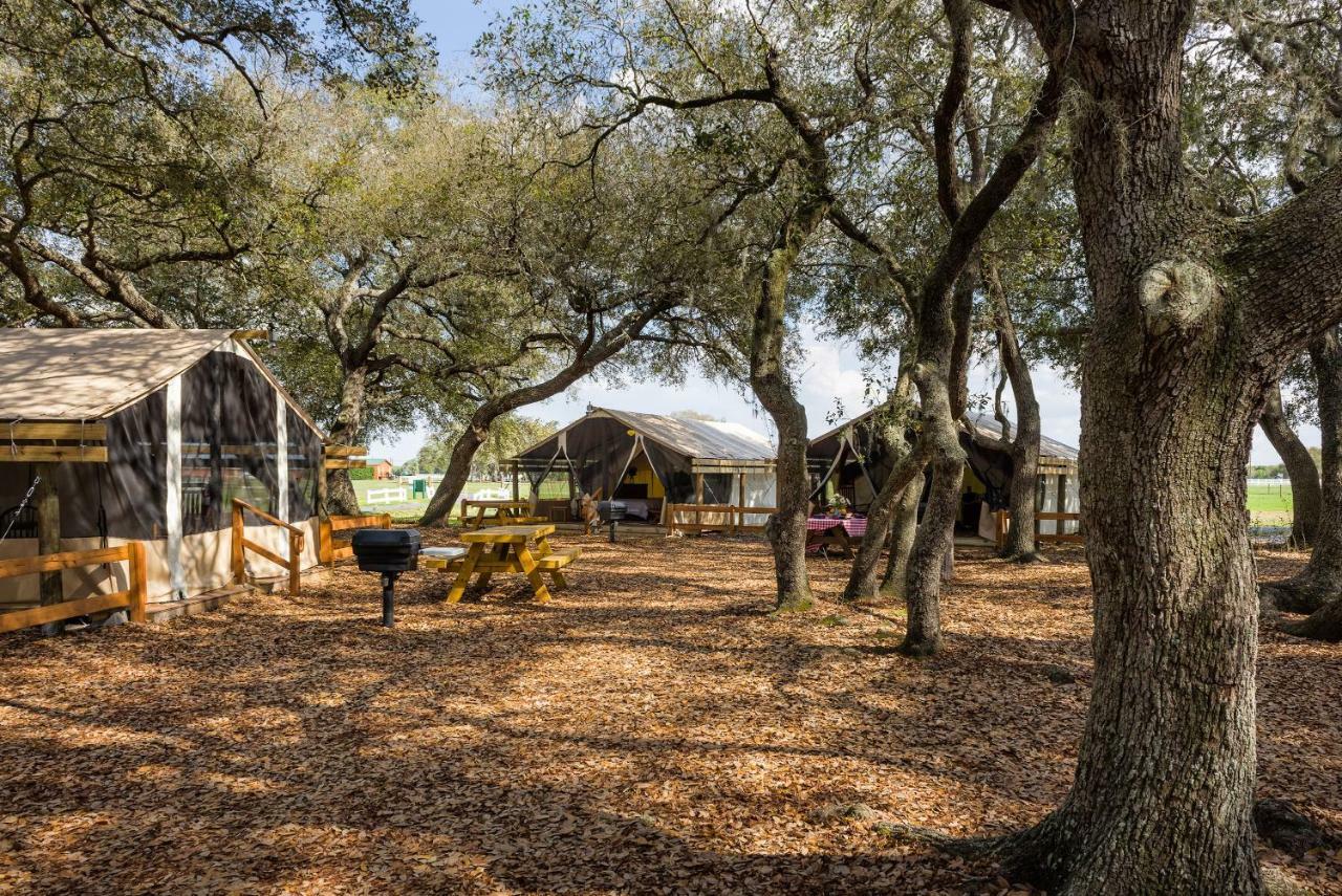 Westgate River Ranch Resort & Rodeo Exteriör bild
